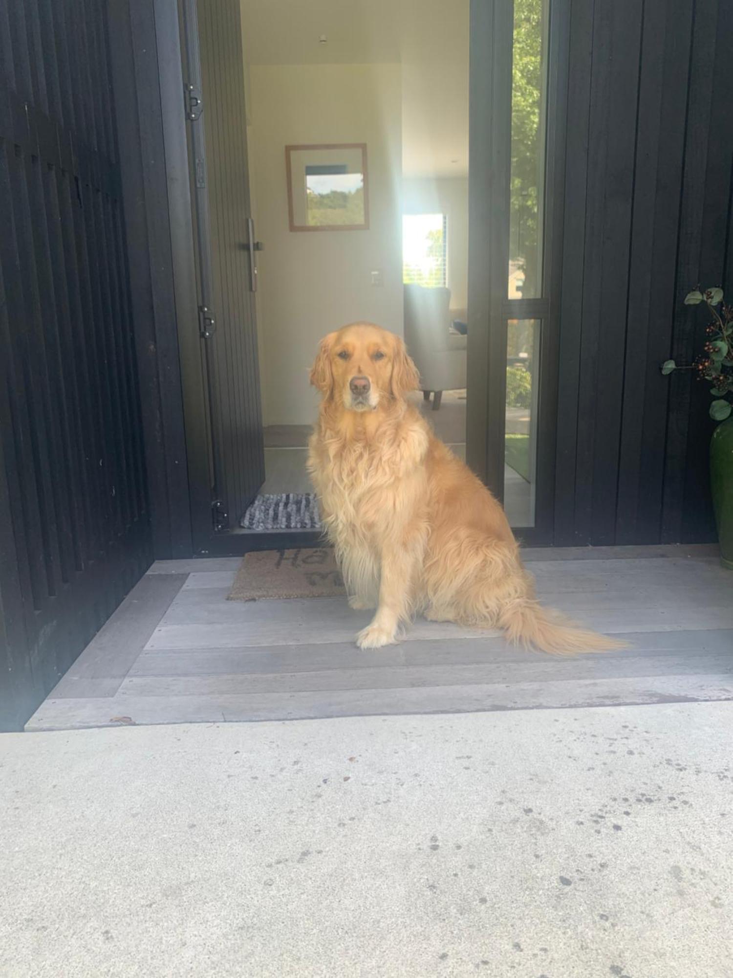 Willa The Gate House Tauranga Zewnętrze zdjęcie